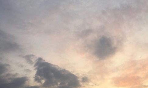夏休み