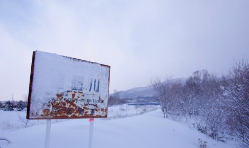ほしみ緑地の冬