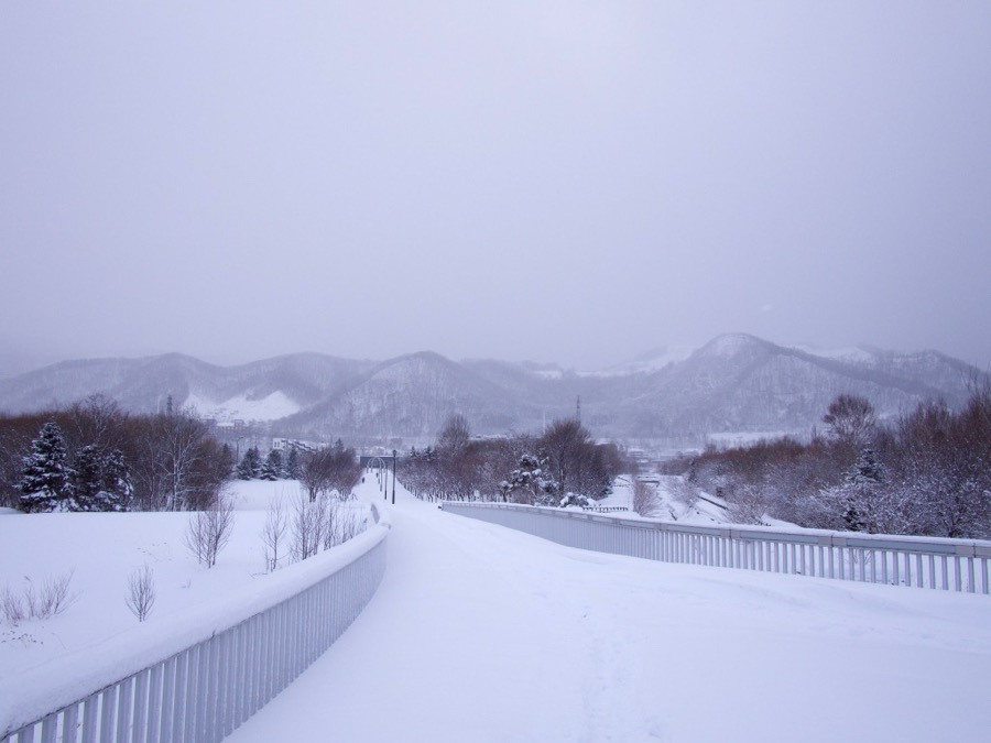 ほしみ緑地の冬