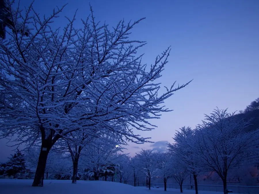 雪の降る朝の赤 朝の街灯は雪景色とお月さんと - おささるろぐ