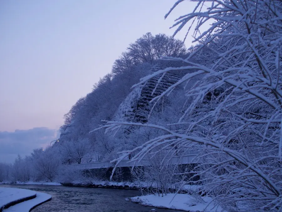 朝の街灯は雪景色とお月さんと - おささるろぐ