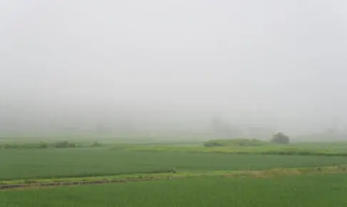 赤井川村の霧の風景
