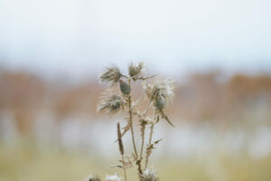 Tokina SD 70-210mm F4-5.6