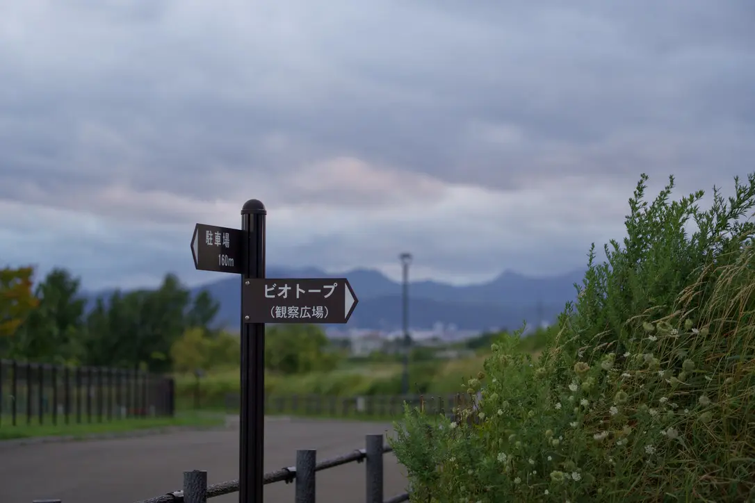 ビオトーブと夕方