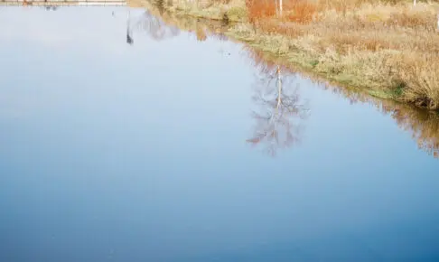 第二伏籠川橋