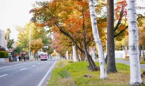 真駒内の街歩き