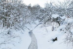 冬の幌向川と宮村