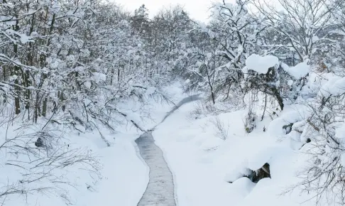 冬の幌向川と宮村