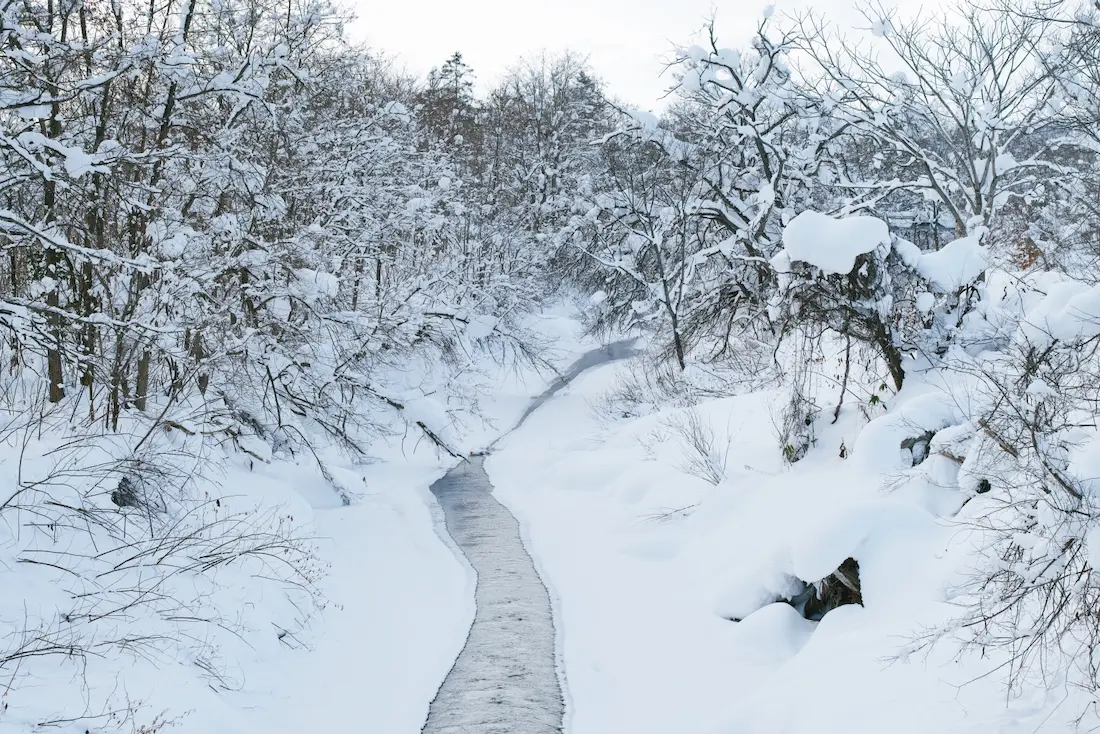 冬の幌向川と宮村