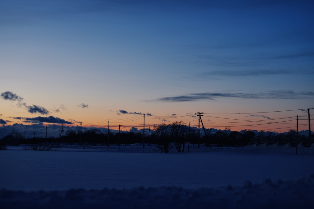 コントラストが高くなる夕方