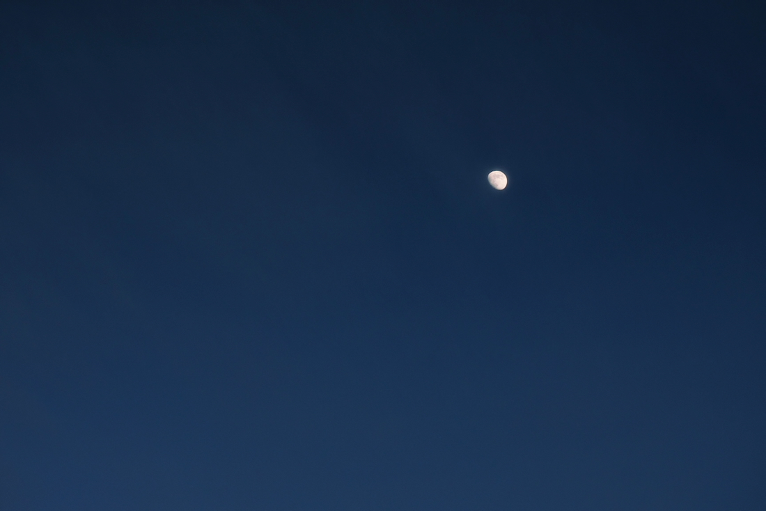 夜の月