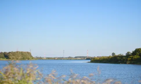茨戸川の朝
