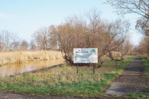 篠路川自然とふれあいの広場
