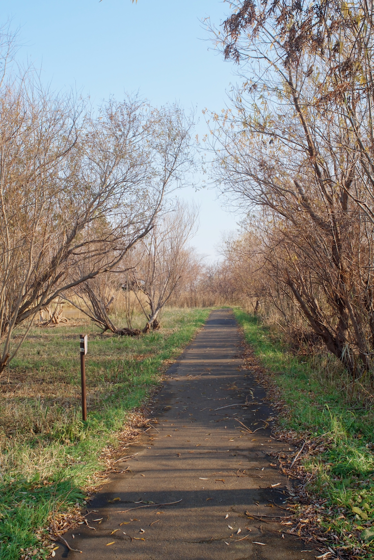 篠路川沿いの散策路