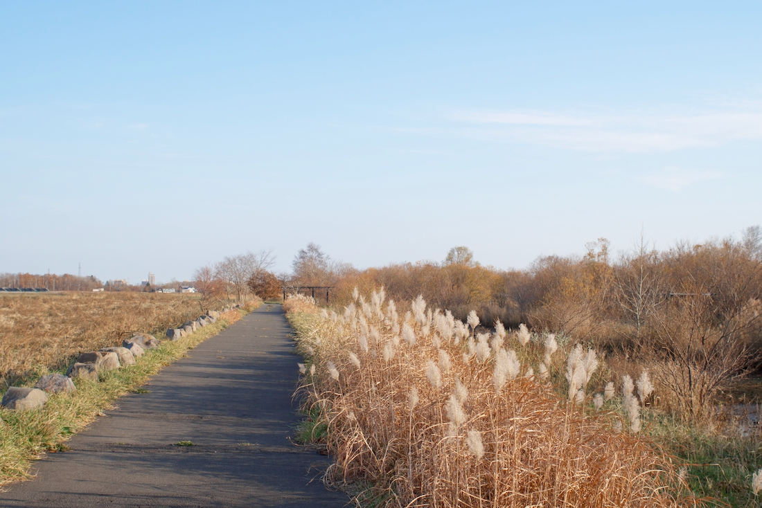 篠路川の右岸からの眺め