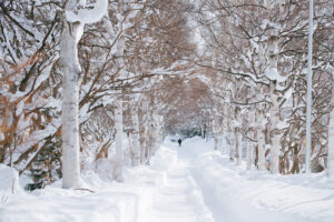 白石こころーどの大雪と冬景色