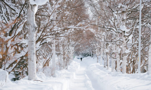 こころーどの真冬