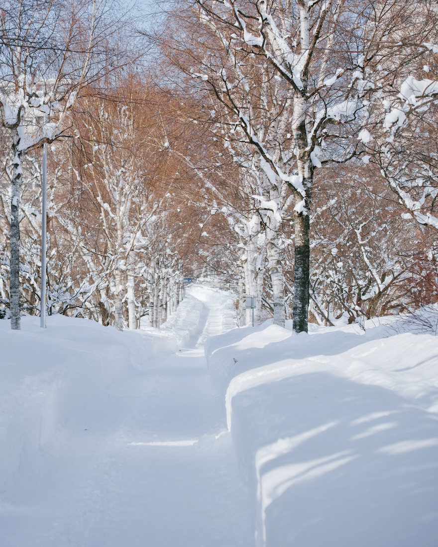 こころーどの冬景色
