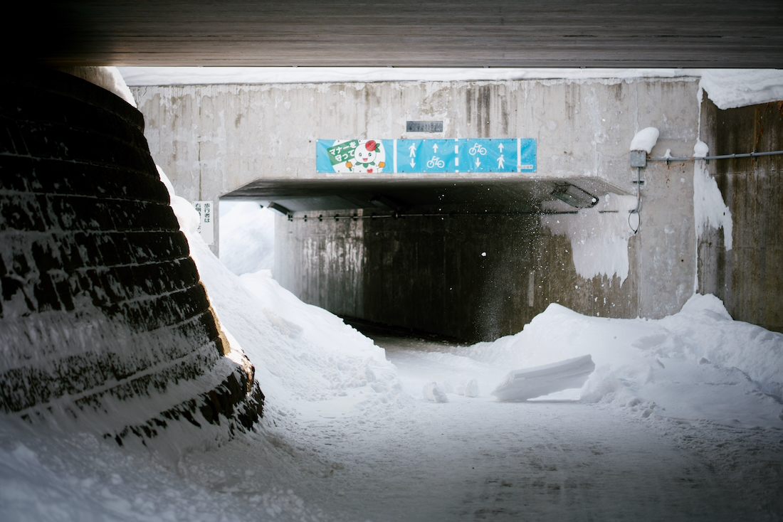 雪が落ちてきた