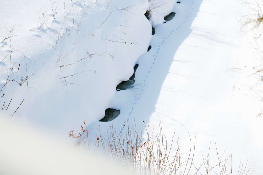 雪が溶け始めている知津狩川