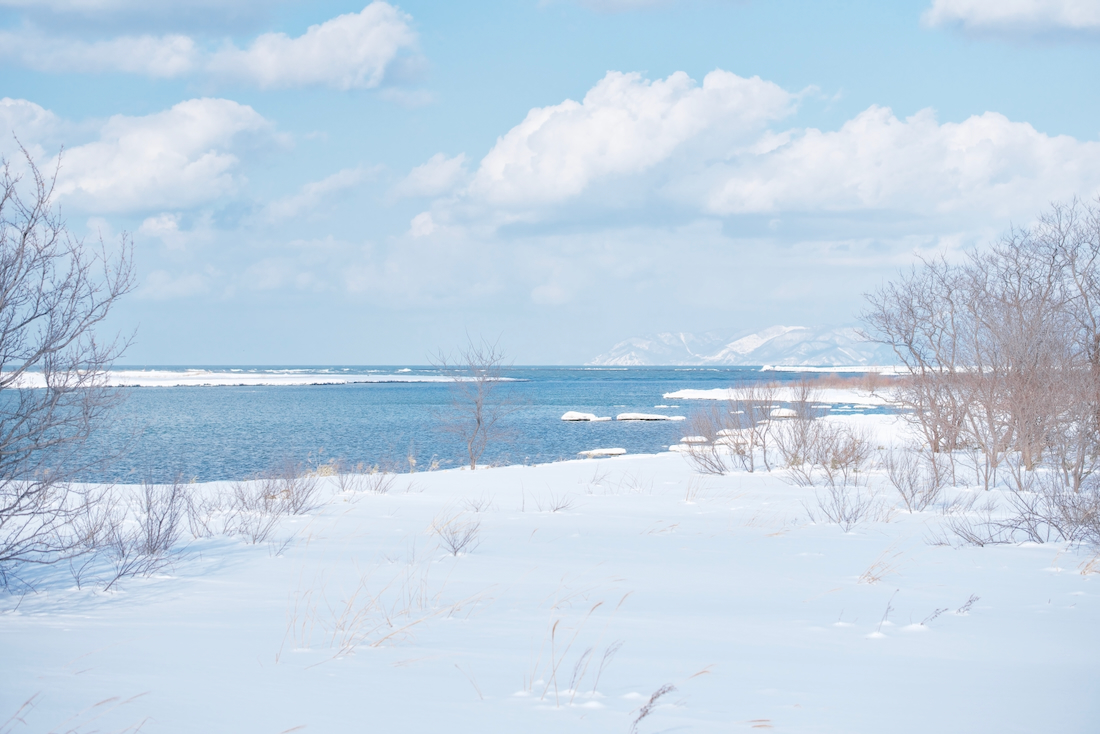 石狩川と八幡町