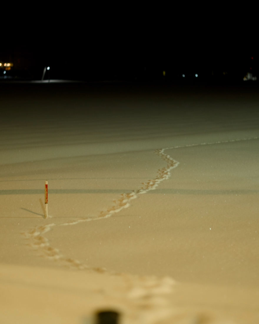 ロイズタウン駅周辺の雪原