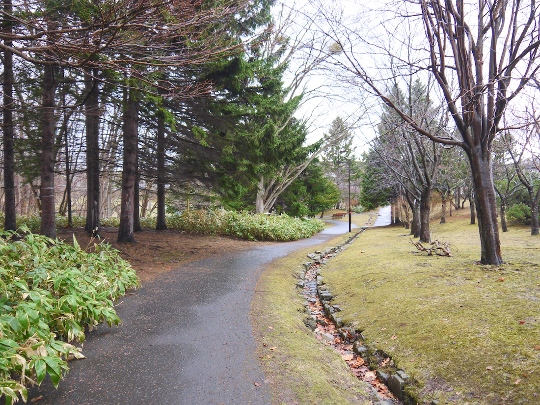 熊の沢公園のミズバショウの場所へ向かいます