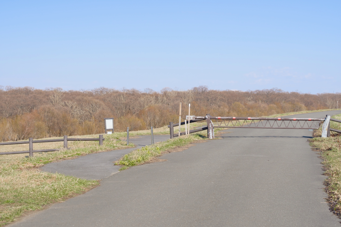 石狩川堤防の道