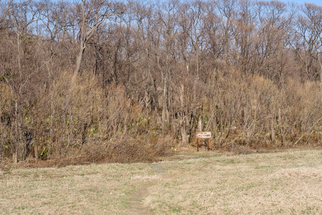 マクンベツ湿原の入り口