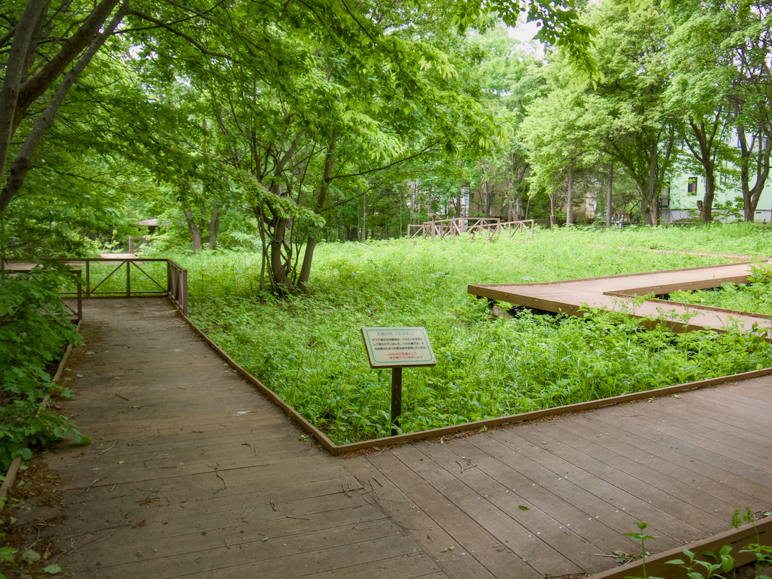 富丘西公園の木道