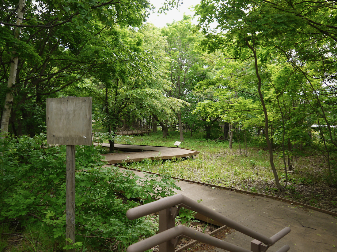 富丘西公園の木道