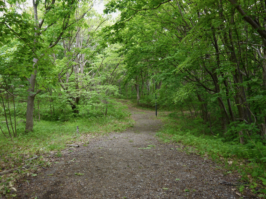 富丘西公園の5月の様子