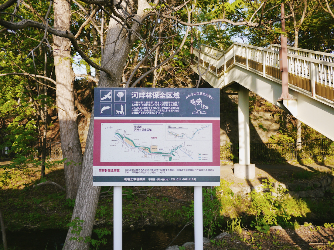 りんご橋を降りて精進川沿いの歩道