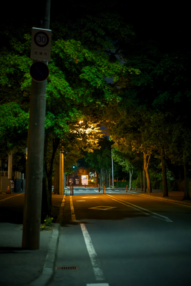 羊ヶ丘中央線と夏の夜