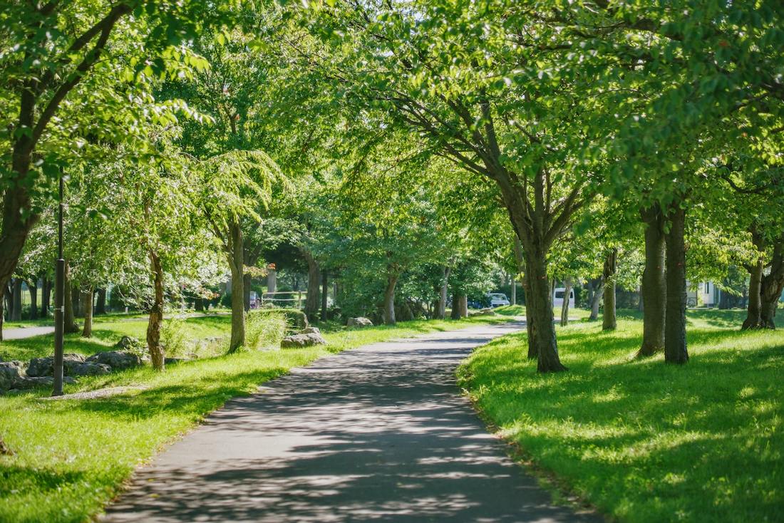 恵み野中央公園の遊歩道