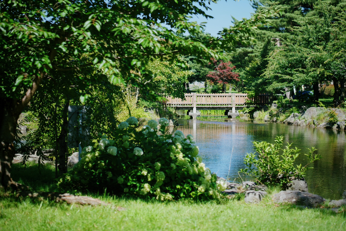 恵み野中央公園の池