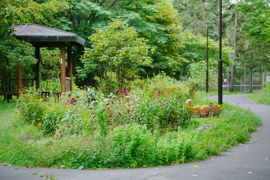 青葉中央公園の花壇