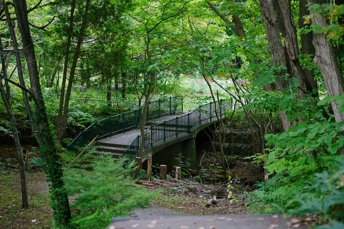 青葉中央公園の橋