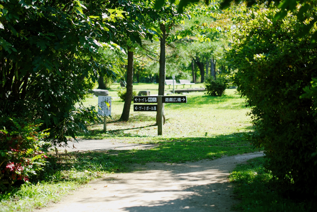 公園の中へ