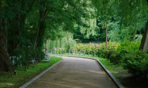 月寒公園の初秋