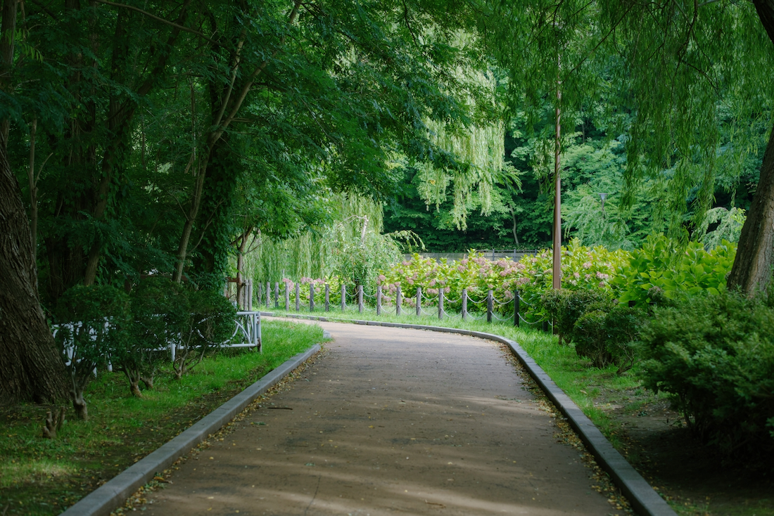 月寒公園の初秋