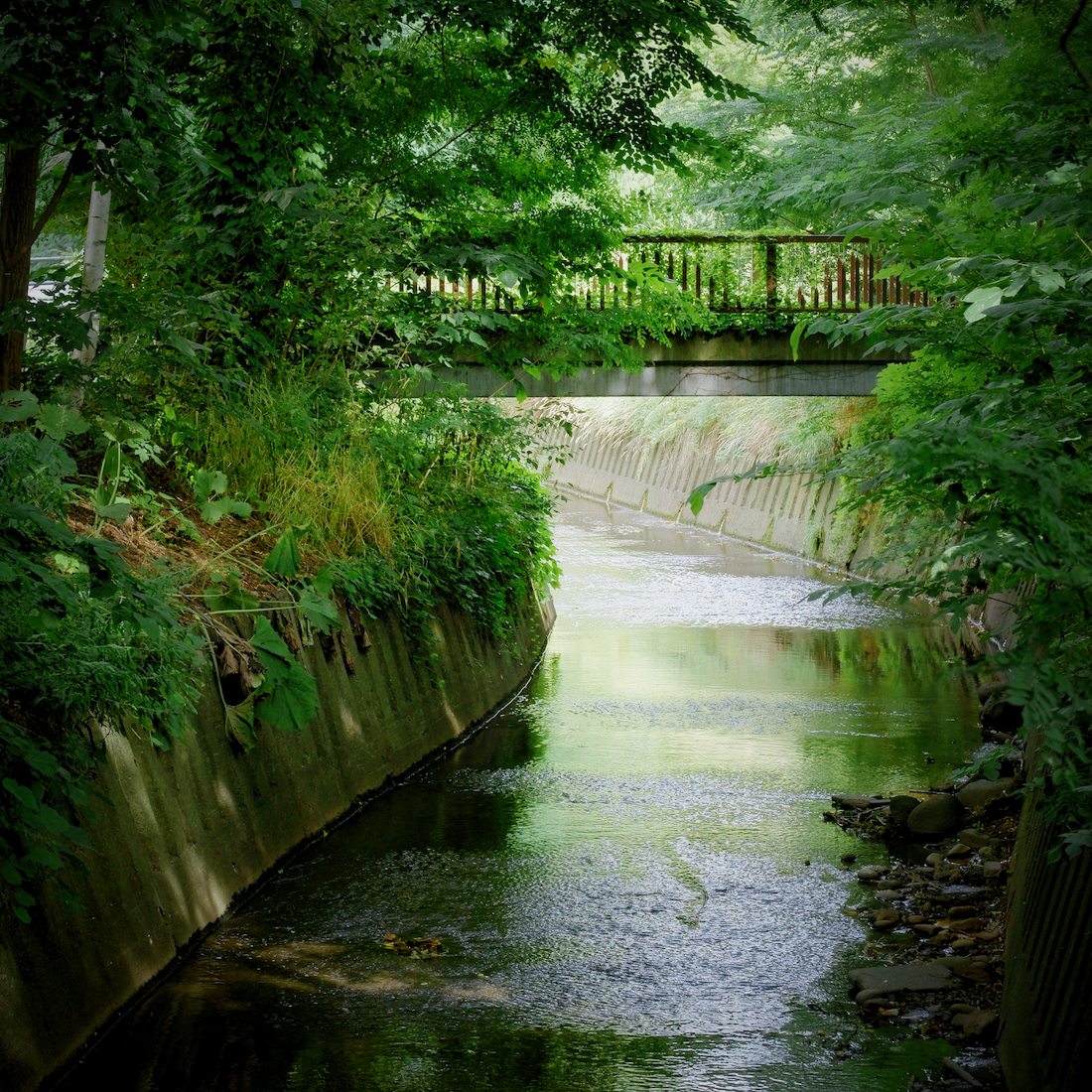 月寒公園と望月寒川
