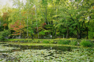 岩見沢の玉泉館跡地公園